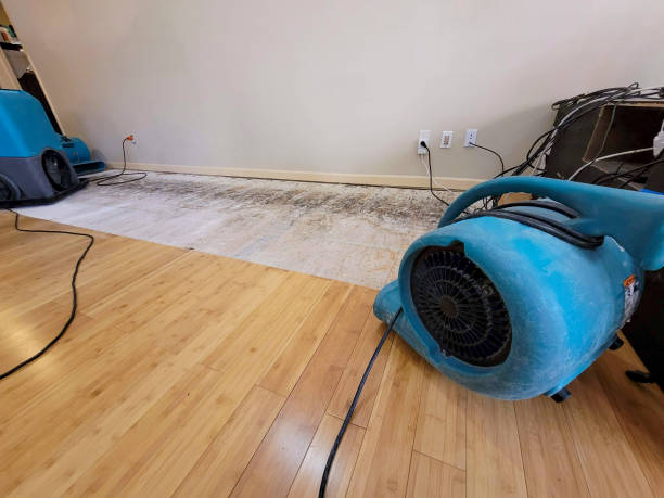 Professional Sewage Cleanup technician working in Harrison, WI